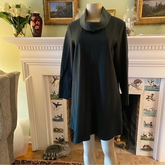 Lush two-tone tunic dress from Purejill size medium petite—warm, and snuggly. - Picture 2 of 10